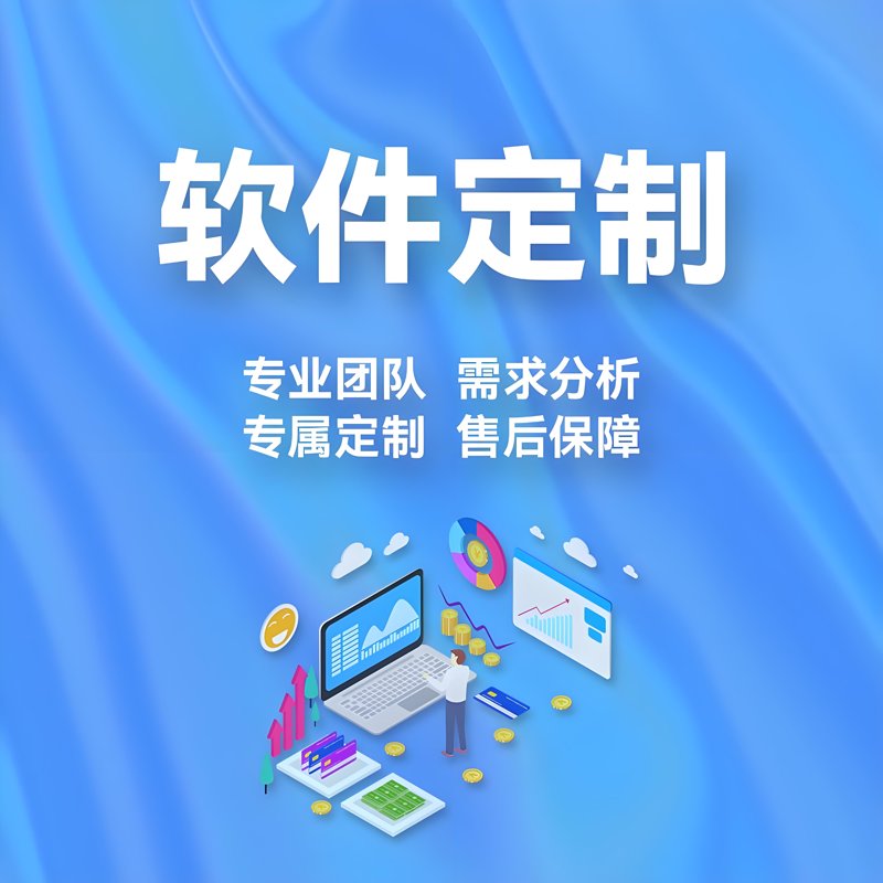 定制开发服务在企业信息化领域的应用与创新
